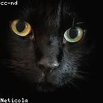Mellie Treutel Profile Picture