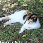 Glenda Denesik Profile Picture