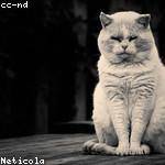 Blanca Jerde Profile Picture