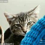 Emiliano Lubowitz Profile Picture