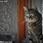 Frederique Emmerich Profile Picture