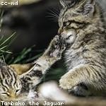 Javier Ortiz Profile Picture