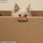 Elena Mayer Profile Picture