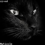 Concepcion Nicolas Profile Picture