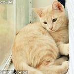 Pearlie Casper Profile Picture