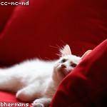 Melba Prohaska Profile Picture