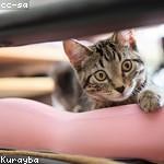 Kitty Friesen Profile Picture