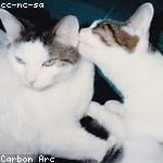Chelsea Nikolaus Profile Picture