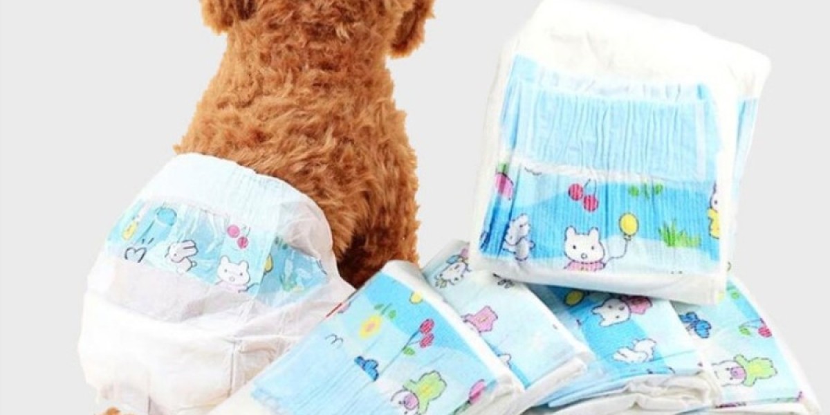 What Should You Look for When Buying Dog Training Pads & Diapers?